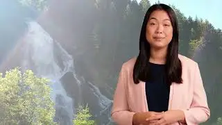 Alma enzimital ( Tudj meg többet!)