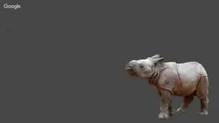 Sitecore Live! DEF Jam 1: Intro to Data Exchange Framework