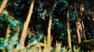 Ascended - Unreal Engine 5 animation test