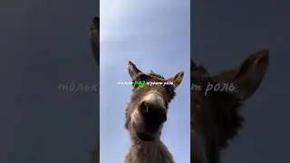 #вспышки #творчество #лирика