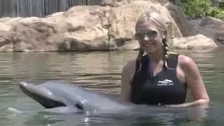 The Perfect Day at Discovery Cove Orlando with the Navarro Family!