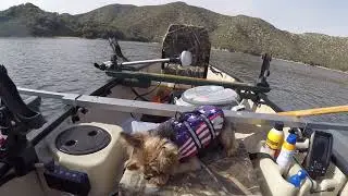 Tohatsu 4hp outboard (6hp carb) Speed test on my Scanoe at Silverwood lake