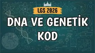 DNA ve Genetik Kod | 8. Sınıf 