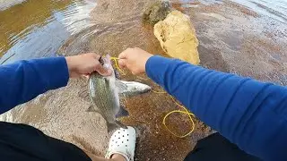 White Bass Fishing Below Spillway (Lighter the Better)