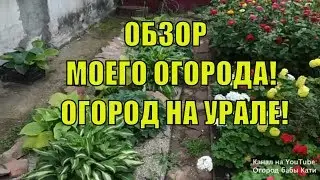 A big overview of my vegetable garden and orchard in August! Vegetable garden in the Urals! Overv...
