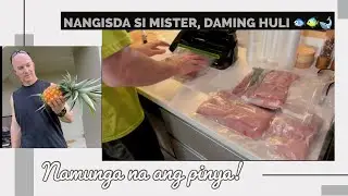 Ang daming huling isda ni Mister 😳 + Sa wakas namunga na ang aming pinya 🤩