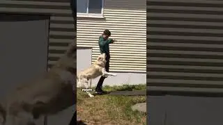 That was a close one 😮