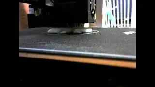 Gecko at 30 FPS