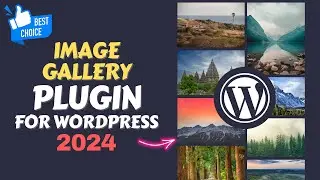 Best Image Gallery Plugin for Wordpress (Hand picked)