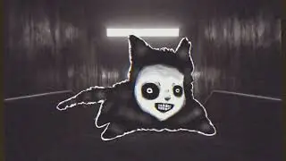 Go kitty go :)
