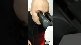 ПЛЕСЕНЬ НА КУХНЕ