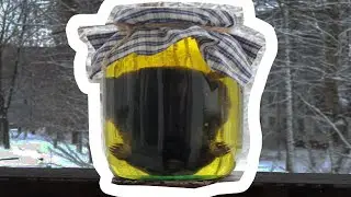 КРОТОВУХА - ОТКУДА МЕМ?