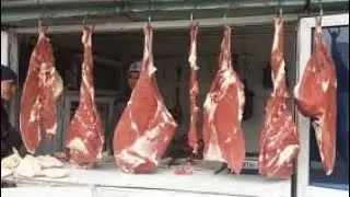 Нархи Гушт дар Точикистон Конибодом 2023