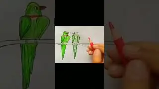 How To Draw Parrots | Easy Drawing #drawing #bird #viralshots #shorts #ytshorts #parrot