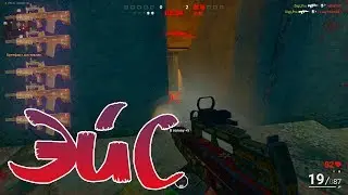 SURVARIUM Эйс из ашана не дорого!