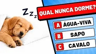 GENERAL KNOWLEDGE QUESTIONS! Test your mind🧠