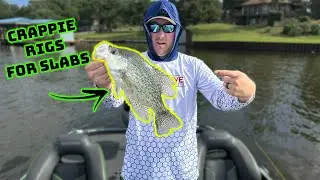 CRAPPIE setups that are PROVEN to catch LIMITS!!  | UNDERWATER FOOTAGE |