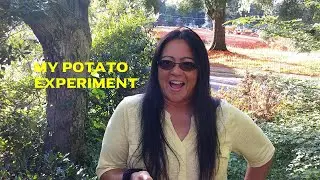 My Potato Experiment