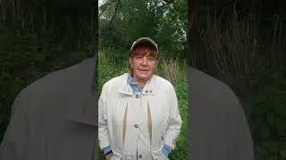 Теперь моя Мама дважды пробабушка. Её поздравление. Слава Богу!