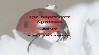 288 Куда теперь идти мне?