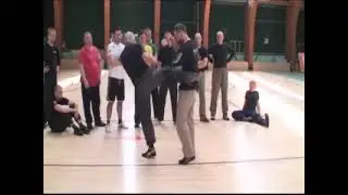 Defense Against Round Kicks