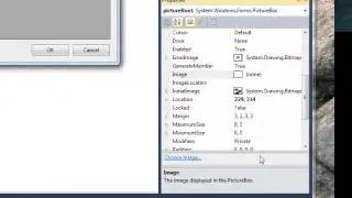 C# Edge 243   image radio buttons and checkboxes