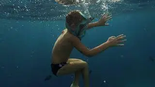Плаваем вместе с рыбками в конце ноября. Египет, Красное море.