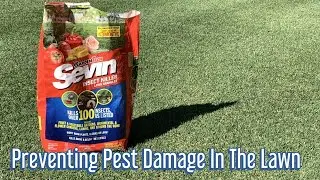 Keeping pests, bugs, grubs, and ants away from the lawn//Using Sevin Insect Killer