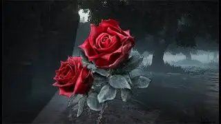 Blood Rose Farm, 5 Per Grace Early Game - Elden Ring