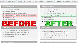 CARA UPDATE DAN UPGRADE MYSQL MARIADB DI XAMPP SERVER WINDOWS
