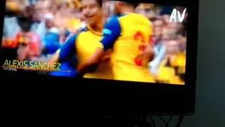 Los mejores goles de picabarra del mundo