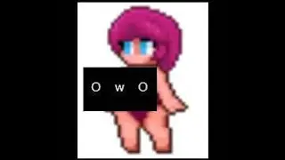 Terraria Waifu Tier List ( MY OPINION)