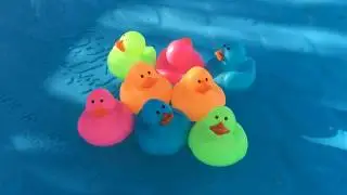 Mini Neon Rubber Ducks - Fun for the Duck Pond!