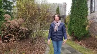 A garden review by landscape designer Natalia Myagkova. A professional reveals her secrets!!!