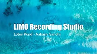 Aakash Gandhi - Lotus Pond (No Copyright Music)