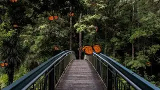 Ennja Mix  [130 BPM]