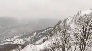 Роза пик не погода(1)