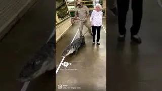 What in the Crocodile Dundee 😂😩 