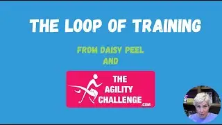 The Cycle Of Training