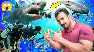 200കിലോ വരുന്ന അരാപൈമ😱 കോടികൾ വില വരുന്ന മീനുകളോ?😱 കടലിലെ കൊമ്പൻ സ്രാവുകൾ വരെ🦈😱VGP Marine Kingdom👌🔥🔥