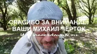 Прививка яблони дички с Михаилом Чертоком