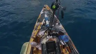 Tiger Shark Attacks Kayak - A Tale of Survival in the Deep Sea