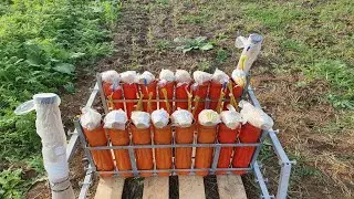✪ Hochzeitsfeuerwerk Steinhaldenfeld 2022 ✪ Pyro Engineering