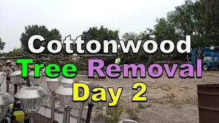 No. 1248 – Tree Removal Day Two Time Lapse
