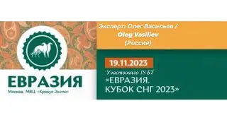 Specialty «Бордер терьер» в рамках Евразии 19.12.2023