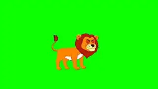 Lion green screen no copyright free video/Lion green screen video