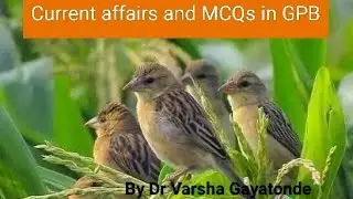Current affairs and MCQs in GPB Part-5