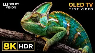 Cinematic Earth in 8K HDR | Relaxing Nature & City Views | OLED Test