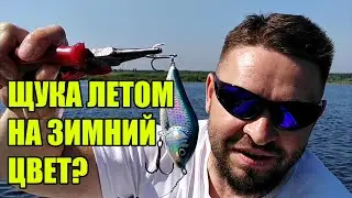 Зрение щуки летом.