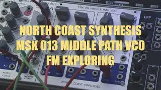 MSK 013 MIDDLE PATH VCO -North Coast Synthesis FM EXPLORATION (no talking )